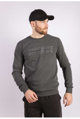 Свитшот мужской темно-серый 85F535-1 на тонком флисе