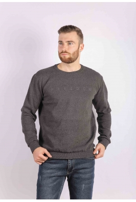 Свитшот мужской темно-серый 85F534-3 на тонком флисе