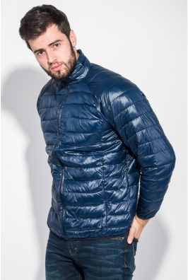 Куртка мужская демисезон 191V005