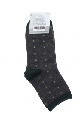 Носки мужские серо-зеленые 11P513-12