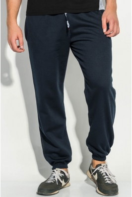 Брюки спорт мужские однотонные, теплые 19PL136