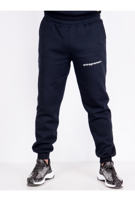 Брюки спортивные мужские 85F570-11 темно-синие на флисе
