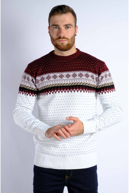 Свитер мужской 85F501