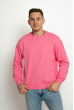 Свитшот мужской однотонный 777A003-7 розовый