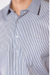 Рубашка мужская в мелкую полоску 120PAR162-5 бело-синий