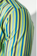 Рубашка мужская приталенная, в полоску 50PD28805 сине-салатовый