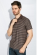 Поло мужское в полоску 185F158-12 какао