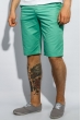Шорты мужские прямые 450F001 мятный