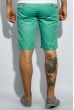 Шорты мужские прямые 450F001 мятный