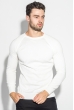 Свитер мужской реглан 498F010 молочный